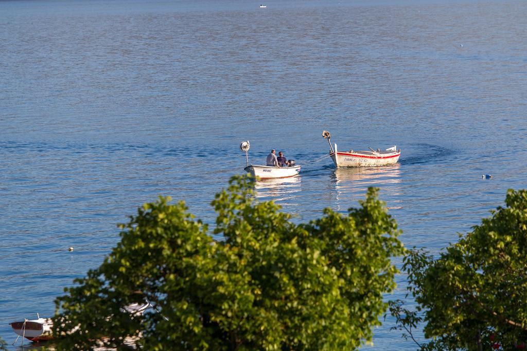 Villa Veca Starigrad Paklenica Exteriör bild